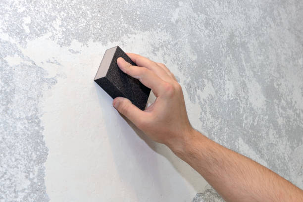 Best Industrial Mold Remediation  in Newport, VT