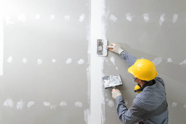 Best Commercial Mold Inspection  in Newport, VT