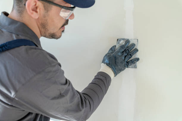 Best Basement Mold Removal  in Newport, VT
