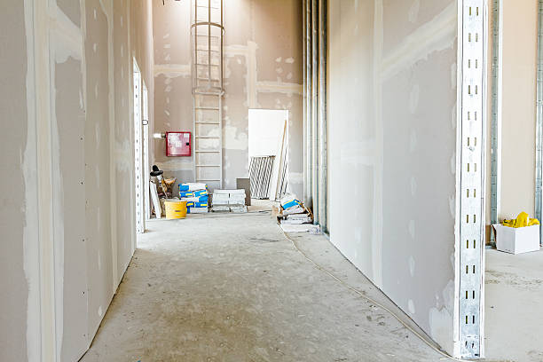 Best Post-Construction Mold Inspection  in Newport, VT